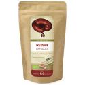 Reishi v kapsulah